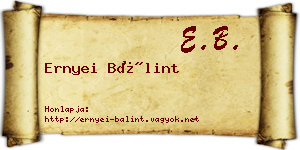 Ernyei Bálint névjegykártya
